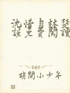 沈惜月林楚轩小说免费阅读最新章节