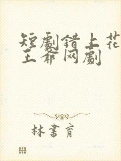 短剧错上花轿嫁王爷网剧