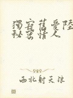 独宠旧爱陆少的秘密情人