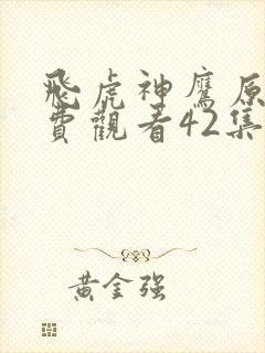 飞虎神鹰原版免费观看42集全