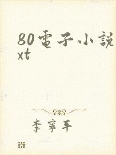 80电子小说txt