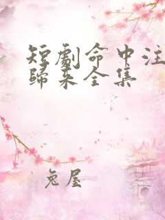 短剧命中注定缘归来全集