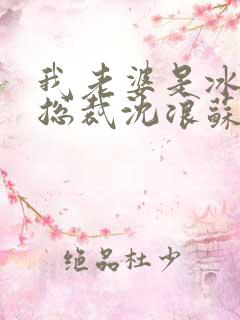 我老婆是冰山女总裁沈浪苏若雪