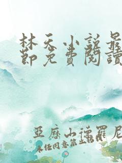 林天小说最新章节免费阅读全文