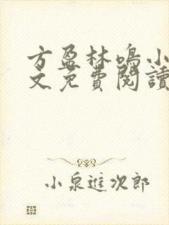 方盈林鸣小说全文免费阅读