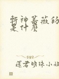 斩神蔷薇的禁墟是什么