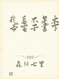 我真不是木匠皇帝电子书下载