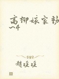 高柳嫁家动漫1~4