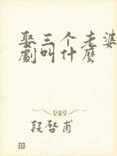 娶三个老婆的短剧叫什么