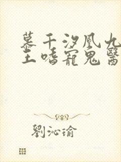 慕千汐凰九夜邪王嗜宠鬼医狂妃无弹窗