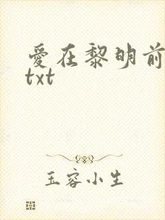 爱在黎明前升起txt