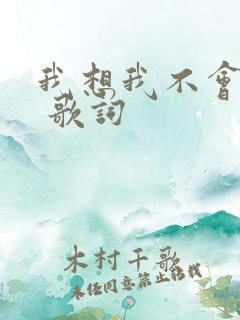 我想我不会爱你 歌词