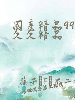 国产精品99久久久精品