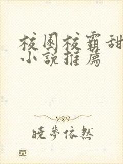 校园校霸甜宠文小说推荐