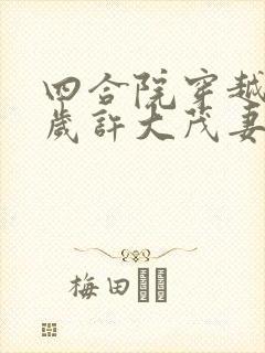 四合院穿越10岁许大茂妻子的小说