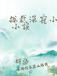 总裁深宠小甜妻 小说