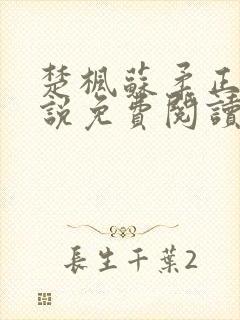 楚枫苏柔正版小说免费阅读