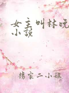 女主叫林晚晚的小说