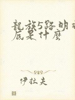 龙族5路明非到底是什么