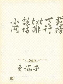 小说txt下载网站排行榜