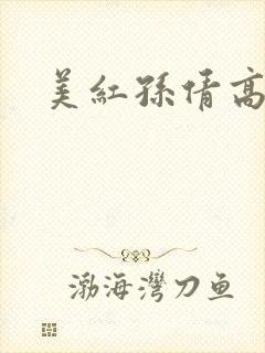 美红孙倩高义
