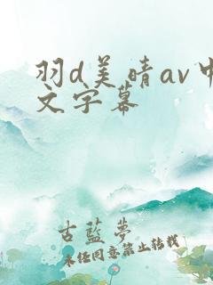 羽d美晴av中文字幕