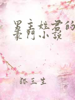 男主姓君的现代豪门小说