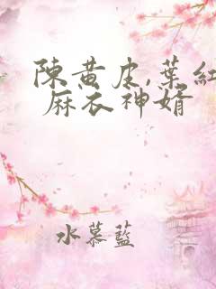 陈黄皮,叶红鱼 麻衣神婿