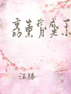 重生我成了权臣的黑月光小说