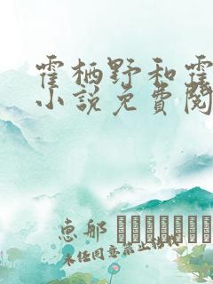 霍栖野和霍深的小说免费阅读