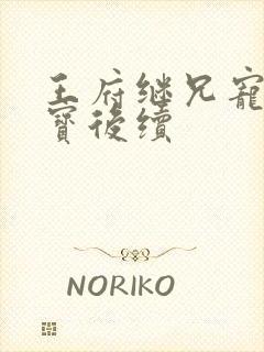 王府继兄宠我如宝后续