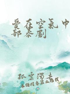 爱在空气中第二部泰剧