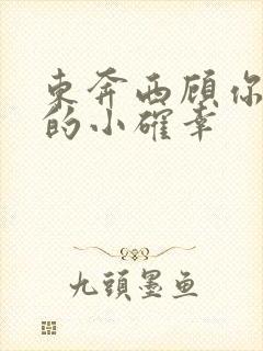 东奔西顾你是我的小确幸