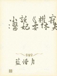 小说《权宠天下:医妃要休夫》