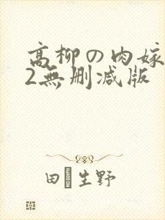 高柳の肉嫁动漫2无删减版