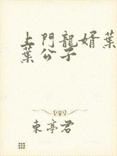 上门龙婿叶辰 叶公子