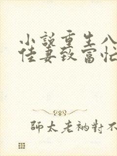 小说重生八零:佳妻致富忙下载