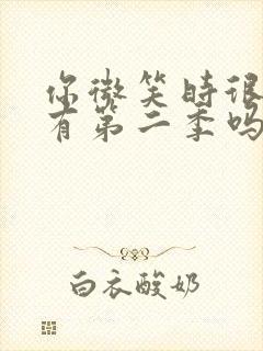 你微笑时很美还有第二季吗