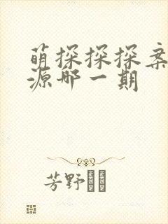 萌探探探案张真源哪一期