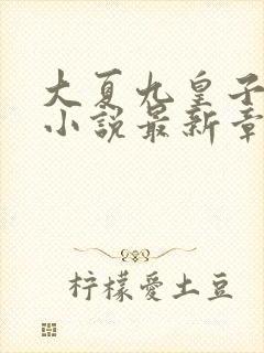 大夏九皇子夏天小说最新章节