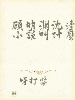 顾明渊沈清烟的小说叫什么名字