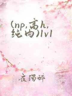 (np,高h,纯肉)1v1