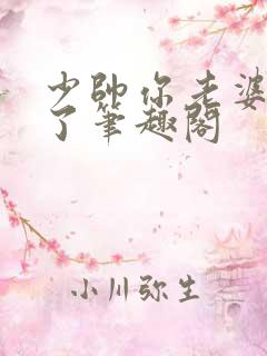 少帅你老婆又跑了笔趣阁