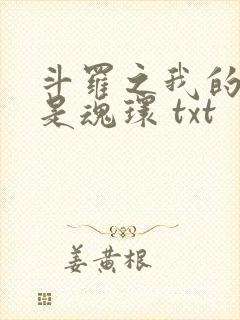 斗罗之我的武魂是魂环 txt