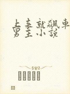 上来就飙车的双男主小说