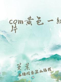 com黄色一级片
