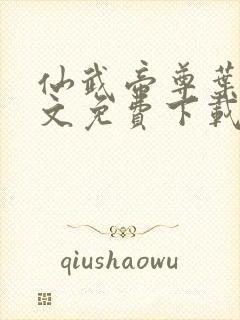 仙武帝尊叶辰全文免费下载