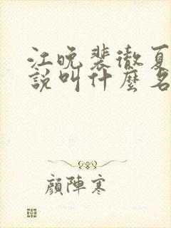 江晚裴彻夏瑶小说叫什么名字