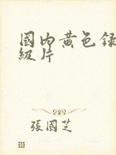 国内黄色录像一级片