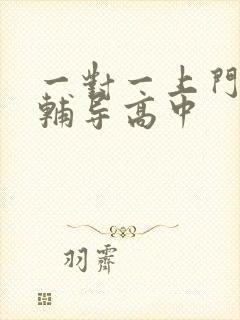 一对一上门家教辅导高中